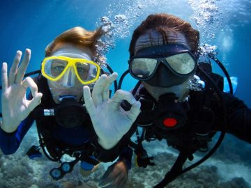 Your online gate to travel
