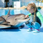 Your online gate to travel