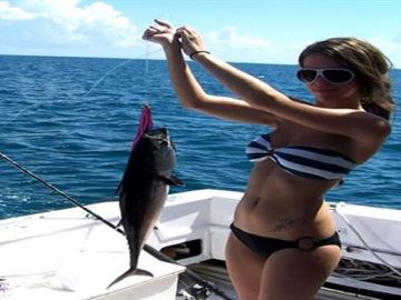 Your online gate to travel