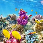 Your online gate to travel